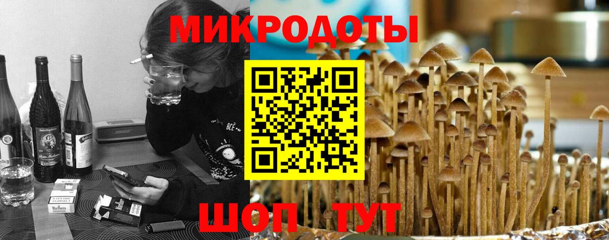 Галлюциногенные грибы Psilocybe  купить закладку  Котлас  Псилоцибиновые грибы мицелий  Вход с VPN 